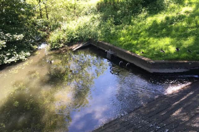 Swanhaven lake has become a dumping ground.