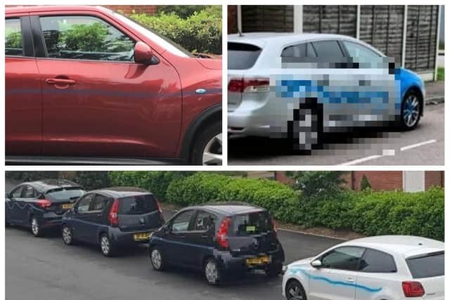 Dozens of cars were vandalised in an overnight spree.