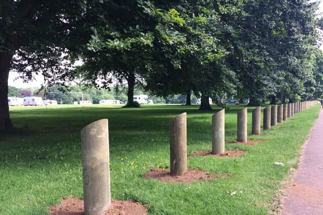 A series of wooden bollards were put up along Abington Park last week...