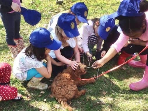Betty has been adopted by Northampton High School to teach children responsibility.
