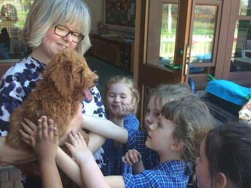 The Australian miniature Labradoodle has made her home at the school's junior classrooms.