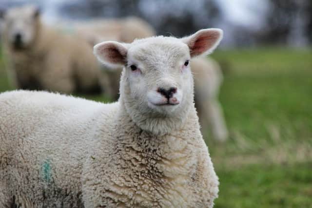 Rural crime victims are being urged to report crime online NNL-180628-103436005