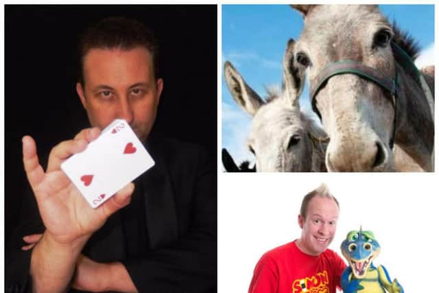 the Bradlaugh Fields Community Show returns on Saturday, August 4