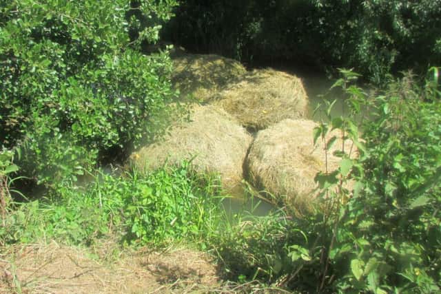 Eight hay bales have been rolled into the river off Kings Heath, ruining them.