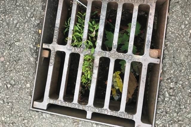 Drains in the road have become blocked over time residents say.