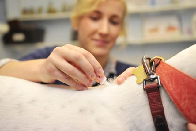 Hot and humid temperatures are ideal conditions for parasites to flourish.