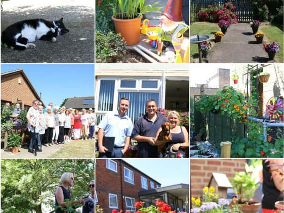 The winners of Northampton Partnership Homes' best garden competition have been announced.