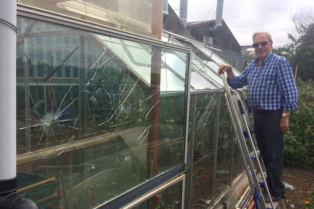The Studland Road Allotments were trashed in an overnight vandalism spree.