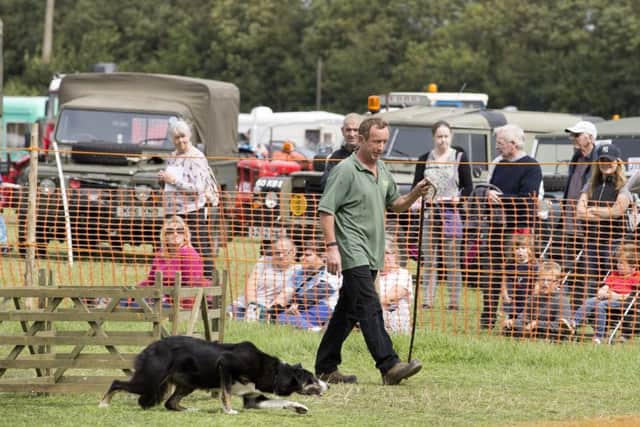 Earls Barton Transport Show 2018Sheep dog display NNL-180827-210008009