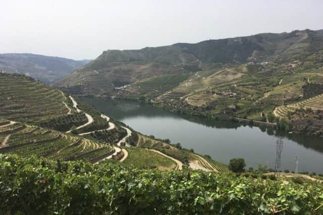 Stunning scenery along the River Douro