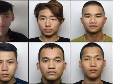 Top right, Quang Dang Le. Second right top row, Ha Van Le. Bottom right, Trong Nguyen. Second right bottom row, Binh Van Hoang.