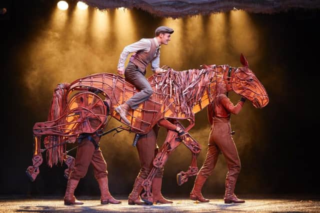 War Horse