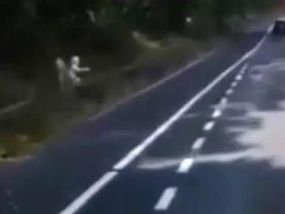 A man was caught on a lorry dashcam appearing to have sex with a blow up doll by the side of the M1.