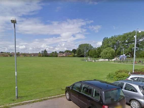 The man was selling the dogs in Towcester Recreation Ground off Islington Road (Picture: Google)