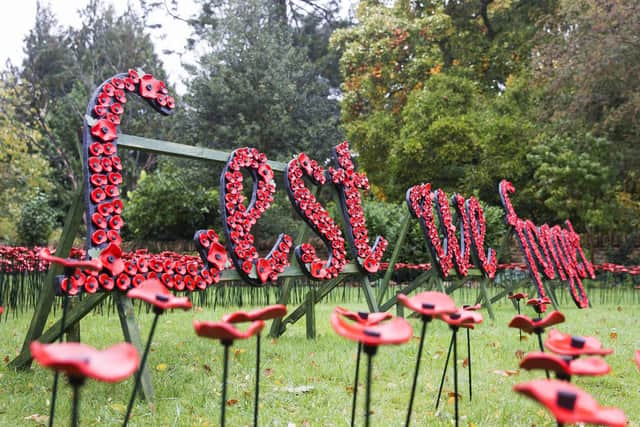 The lettering is made up of an additional 700 small ceramic poppies and 30 larger ones. Pictures: Kirsty Edmonds.