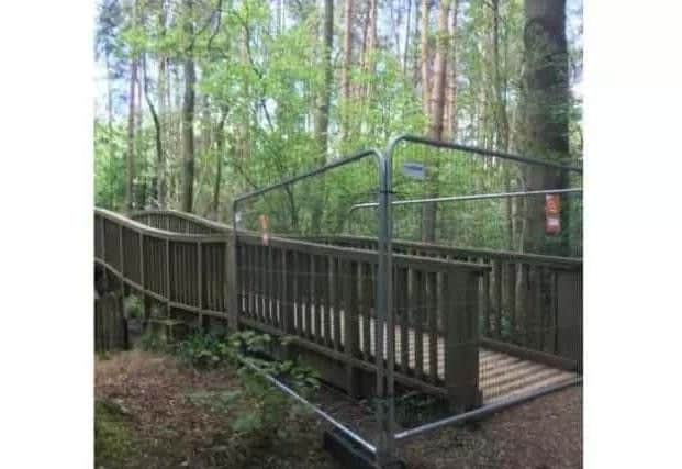 Tree Top Way at Salcey Forest was closed earlier this year