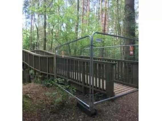 Tree Top Way at Salcey Forest was closed earlier this year
