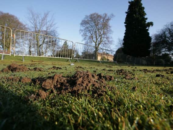 Any damage to the town's parks from events should see the council compensated, claims Labour's deputy leader