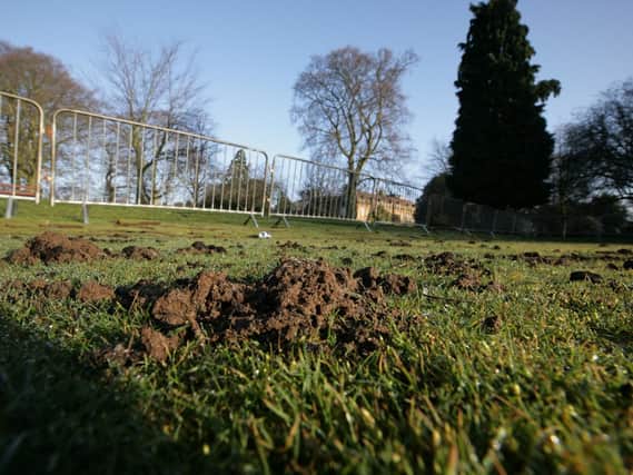 The council wants to keep parks in a good condition after events are held on them