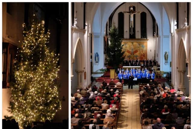 Cynthia Spencer Hospice is inviting Northampton to make dedications to a loved one on the Tree of Love.