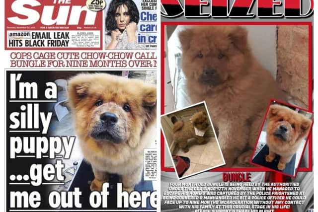 Bungle's story is front page news and a campaign to free him has gathered thousands of supporters
