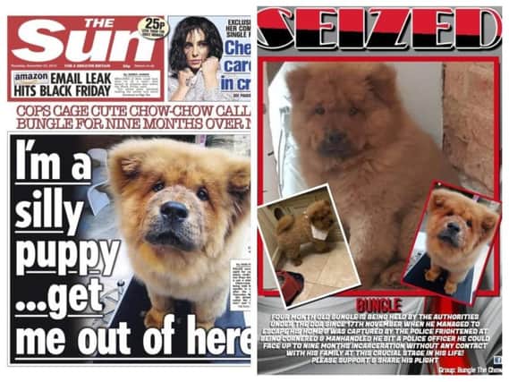 Bungle's story is front page news and a campaign to free him has gathered thousands of supporters
