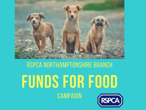 RSPCA Northamptonshire is aiming for a 10,000 fundraising target to help feed their dogs, cats and critters all year round.