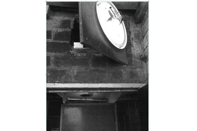 The position of the secret door in the back yard