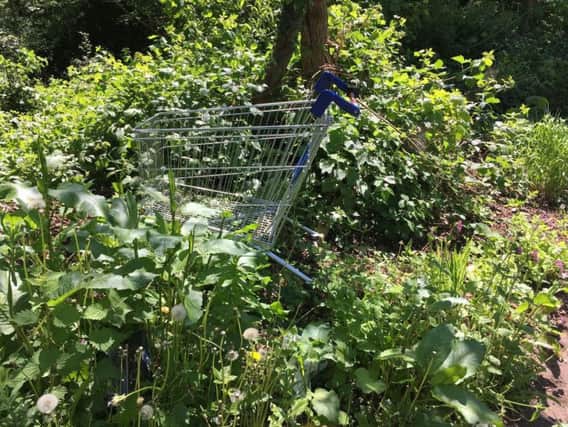 Northampton Borough Council was seeing increased reports of abandoned shopping trolleys during 2018