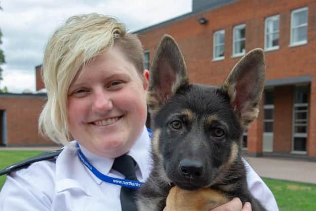 Police Dog Bryn Jnr was bought for the 20th anniversary of Bryn Snr's death on duty.