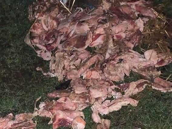 This pile of meat was dumped on the Racecourse last night for all to see this morning. Picture: Lynette Marsden.