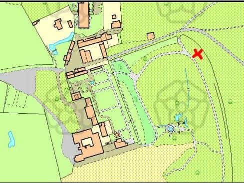 APPROVED Reduce acer trees in height to 3 metres