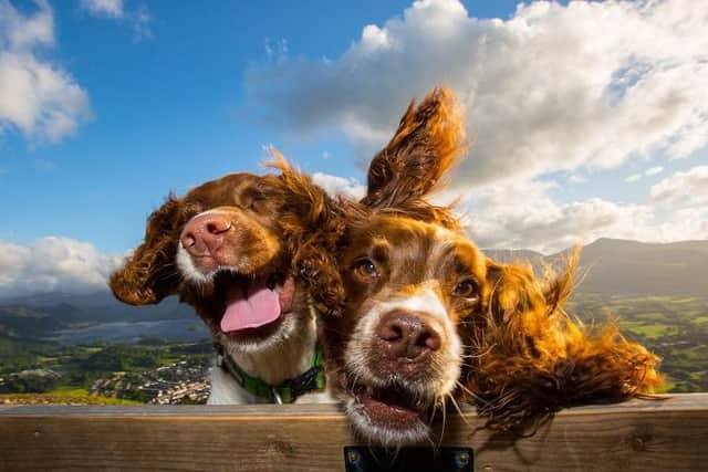 Max and Paddy