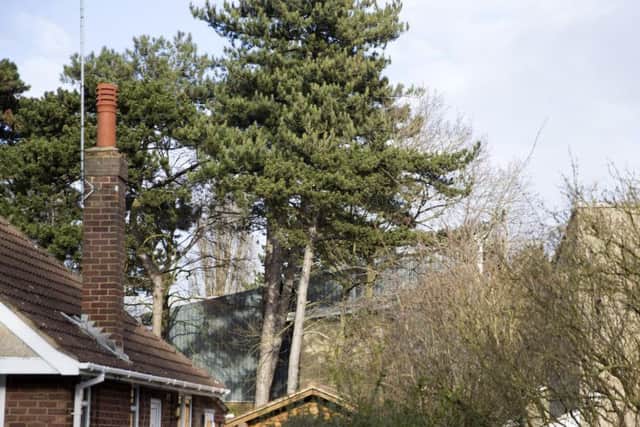 The council says the metal extension is screened by surrounding fir trees.