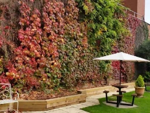 Large TV screens in the garden? What's not to love. The Crown and Cushion, Wellingborough Road