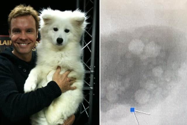 Blammo the stage dog developed 54 stones in his bladder.
