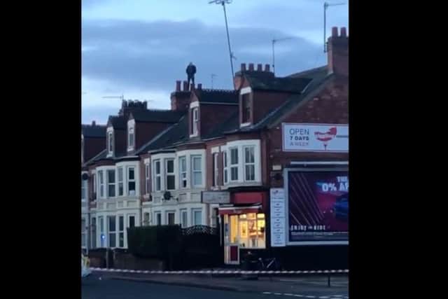 A man was seen on the roofs of houses in London Road this morning