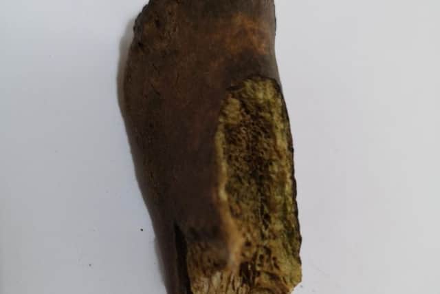 A bone fragment discovered at the Buckton Fields development site has been sent off for testing. Picture courtesy of Joanne Blakesley.