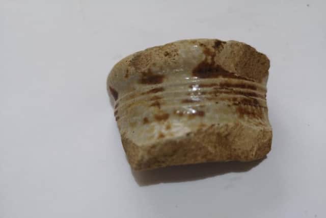 Joanne and Lexi also discovered a shard of pottery during their Sunday walk.