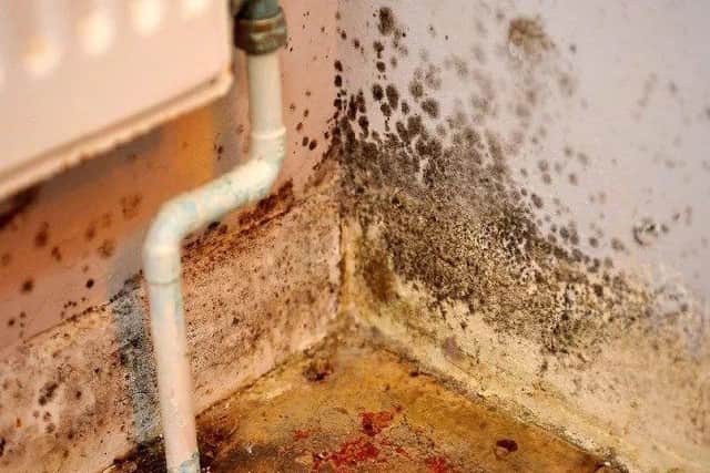 If your home is not fit for 'human habitation' you will be able to take your landlord to court