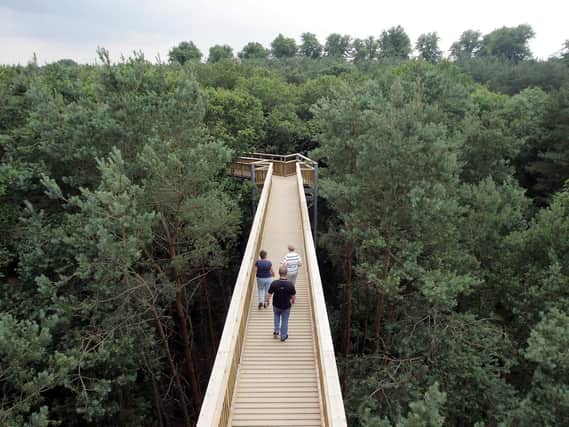 The future of the Salcey Forest Tree Top Walk remains uncertain.