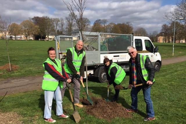 Seven new trees have been added to Becket's Park through a volunteer effort by the Buddies of Beckets.