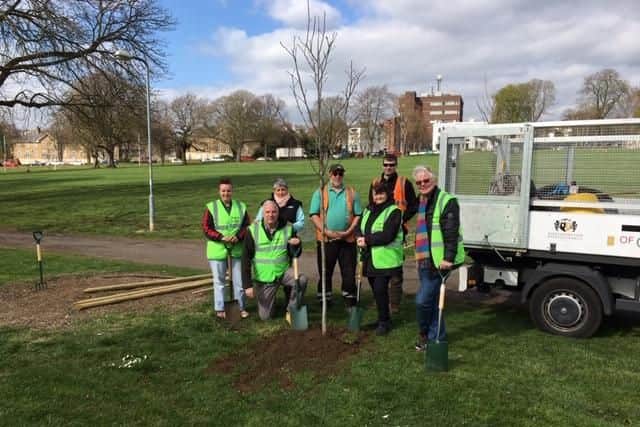 Chair of Buddies of Beckets Nick Stephens said: "It was fun to help with the planting of new trees in the park. They all look fantastic and have already added to the overall look of the park."