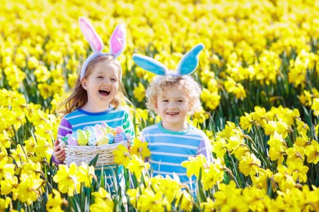 If you are struggling for ideas for the Easter break, look no further.