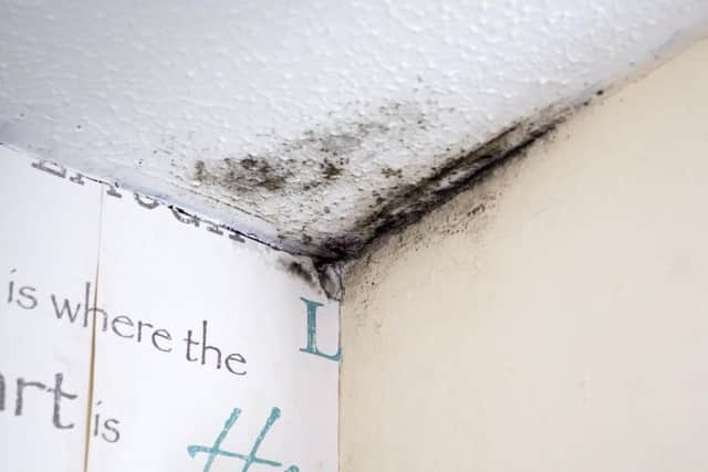 After trying to treat the problem themselves the couple now really want the help of their housing association to get rid of the black mould in their house.