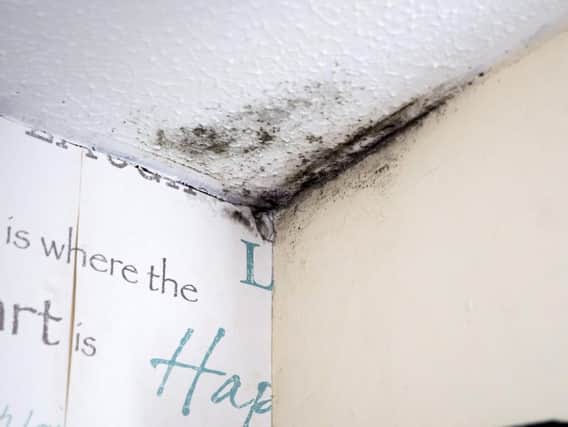 After trying to treat the problem themselves the couple now really want the help of their housing association to get rid of the black mould in their house.