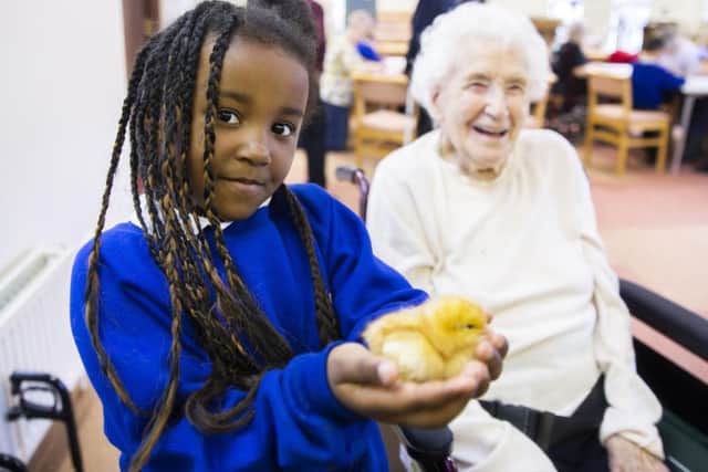 Amani, 5, helped Edna to stroke and hold the little chick.