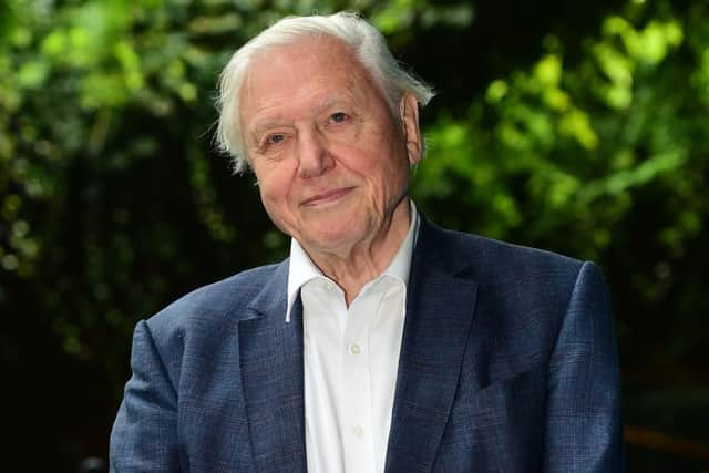 Host of Blue Planet II, Sir David Attenborough. Credit: Getty.
