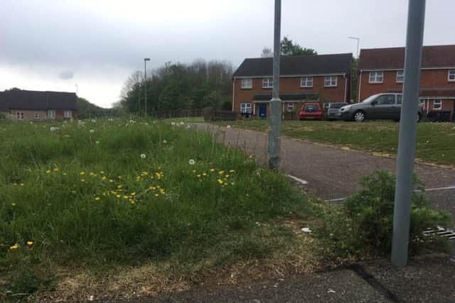 On the left-hand side, the parcel of land is currently the responsibility of Barry Howard Homes. On the right, the freshly-mown lawn is the council's.