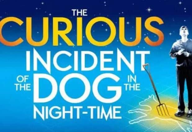 Mark's most acclaimed work, the Curious Incident of the Dog in the Night-Time, has since been made into a smash-hit West End play.